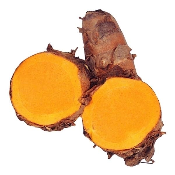 Amazon.co.jp: 種芋 ウコン 秋ウコン(種イモ) 1kg / 国華園 25年春商品