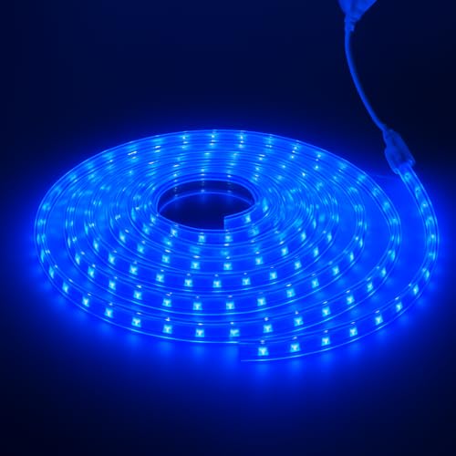 Image of Gesto 3 Meter Rope LED Strip Lights | 120 LED /Mtr Waterproof Outdoor Lights for Balcony, Home Decor, Cove Light for False Ceiling | Flexible, Cuttable Strip Light for Diwali Decoration - Blue