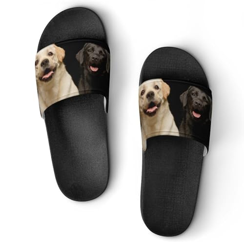 Claquettes Femme Golden Retriever Labrador Antidérapantes pour la Maison