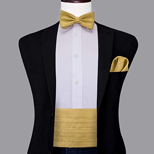 Dubulle Gold Paisley Cummerbund And Bowtie For Men Gold Bow Tie And Pocket Square #TOP1