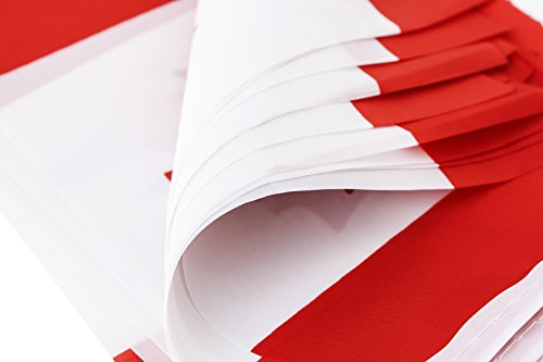 TSMD Canada Flag, 100 Feet Canadian Flag National Country Flags Banner,Party Decorations Supplies for Grand Opening,Olympics,Bar,School Sports Events,International Festival Events Celebration