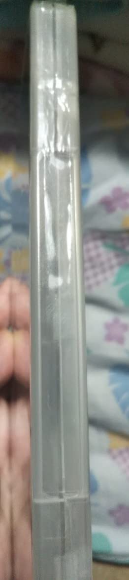 ※ディスクのみ　開封済み　超絶入手困難　廃盤　河原実乃梨 果実　DVD ディスクのみ開封済み超絶入手困難廃盤河原実乃梨 果実DVD