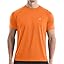 Bright Orange