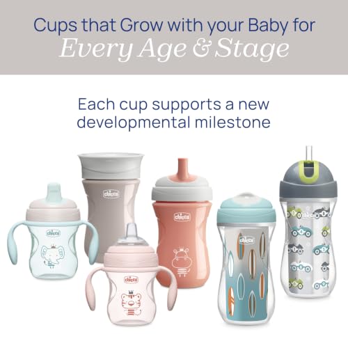 Chicco Insulated Flip-Top Straw Sippy Cup for Toddlers 12m+, 9oz 2-Pack - image 9