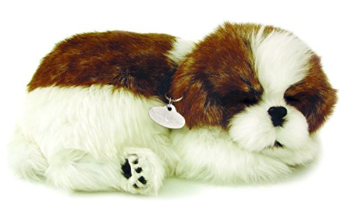 Plenty Gifts- Perfect Petzzz Soft Shih Tzu, 96293, Universel, Taille Unique