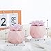 ZENIDA Artificial Succulent Plants in 2 Pink Ceramic Pots, Cute Fake Plants for Vanity Decor,Office, Desk, Bathroom, Kitchen,Bedroom, Shelves Decor for Women,Girls Gift