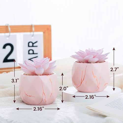 Artificial Succulent Plants in 2 Pink Ceramic Pots, Cute Fake Plants for Vanity Decor,Office, Desk, Bathroom, Kitchen,Bedroom, Shelves Decor for Women,Girls Gift - Image 6