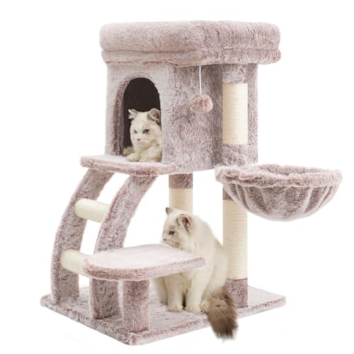 Heybly Arbre à Chat, Petit Griffoir pour Chat de 75 cm de Hauteur avec Plateforme Supérieure, Tanière, Hamac, Échelle d'escalade, Jouets Félins, Meuble...