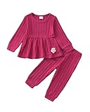 Mioglrie Baby Girl Clothes 18-24 Months Fall Winter Toddler Girl Outfits Rose Red Rib Clothing Sweatshirt Top Cute Solid Casual Pants Set
