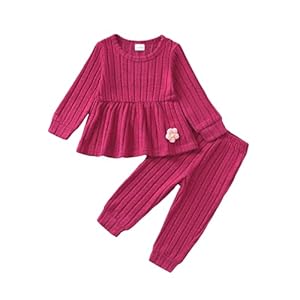 Mioglrie Toddler Baby Girl Clothes Fall Winter Outfits Infant Girl Sweatshirt Top 6 9 12 18 24 Months 2T 3T Pants Set