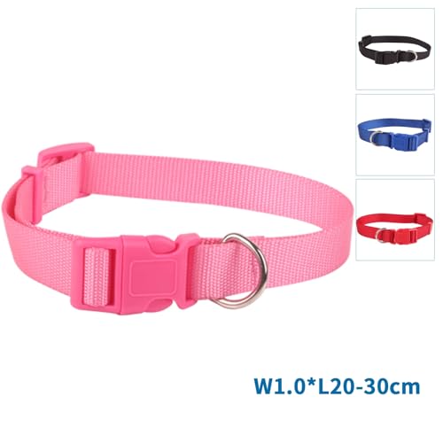 Robustes Halsband aus Edelstahl, wasserdicht, verstellbar, ideal für Spaziergänge und Training mit Haustieren.