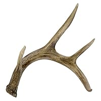 Algopix Similar Product 18 - Gathered by BCI Crafts GGLSBGY10