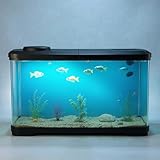 Aptliton