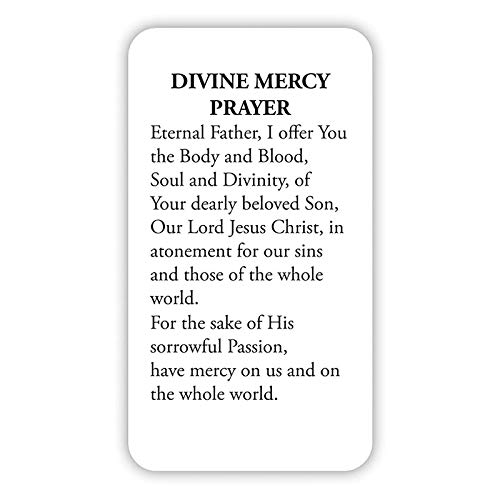 Daily Devotional Wallet, Mini Book of The Divine Mercy, Holy Card and Sacred Medal, 2 X 3 Inches4