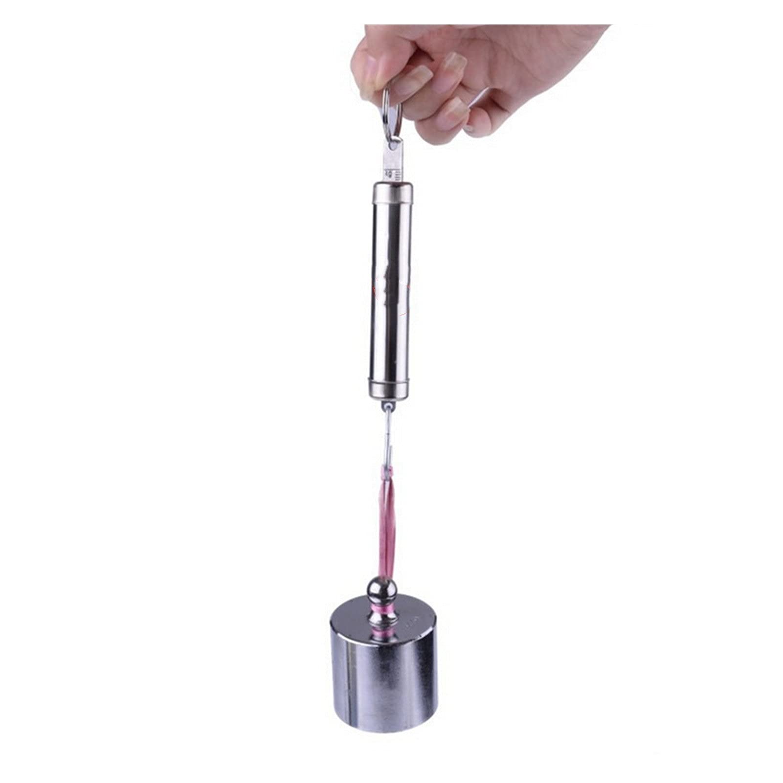 Gewichtswaage, Hakenwaage, digitale Waage, tragbare Zifferblatt, Gepäckwaage, Multifunktions-Hängewaage, Messwaage, Fische, Küche, Hängewaage (22 kg)