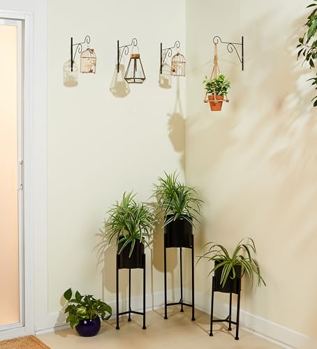 Image of Amazon Brand - Solimo Plant Hanger Brackets Wall Mounted Metal Hanging Hooks /Holder for Indoor Outdoor Planters (Black, Set of 4)