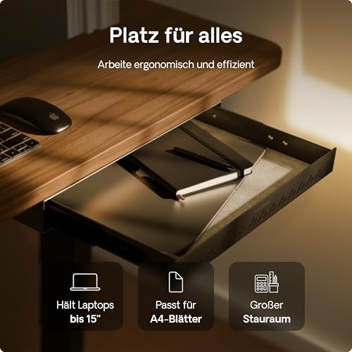Desktronic Schreibtisch-Organizer, Untertisch-Aufbewahrungsbox, Schreibtisch für Büro Schule Homeoffice Schreibwaren, Metallschublade, Versteckte Schubladenbox (Schwarz)