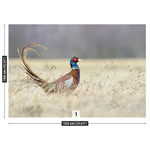 Papier peint faisan Tulup 152x104cm décor mural moderne - 7