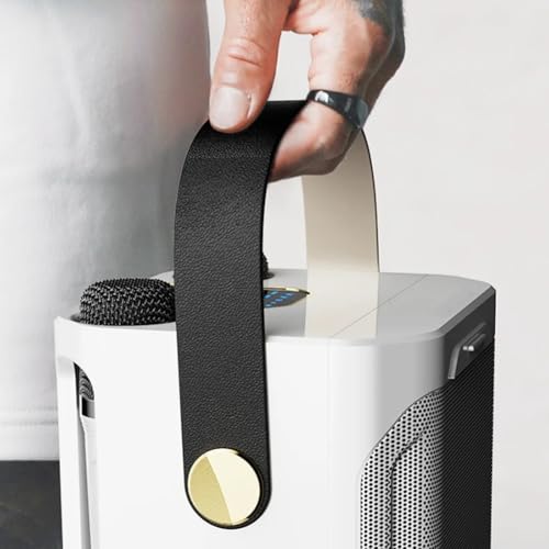 Enceinte bluetooth karaoké haute puissance avec double micro pour chanter en stéréo 360