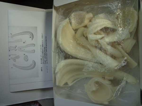 柿乃舎 中澤伸弘 「みちのさきはひ」 明日の組織培養〈木本植物の機能