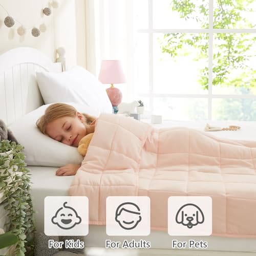 L'AGRATY Weighted Blanket - 36"x48" 3lbs Microfiber Material with Glass Beads Small Blanket for All-Season Summer Fall Winter Soft Thick