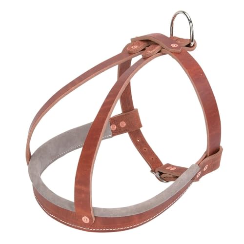 For Ray For Allen Old World For Leather Agitation Harness for K9 Training w D Ring, For Burgundy