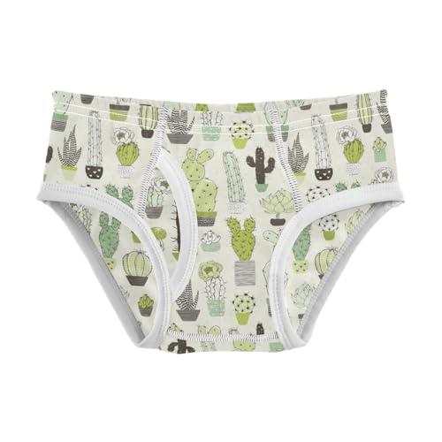 Boys' Exclusive Briefs Toddler Underwear 95% Combed Cotton Boxerbriefs 2T Cactus Pattern 40