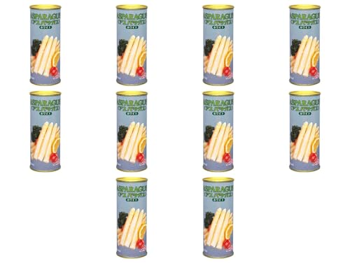 Xg[ʋl AXpzCg (Y) J×10 퉷(܂Ƃߔ) (VandroStEINDEXBOX)