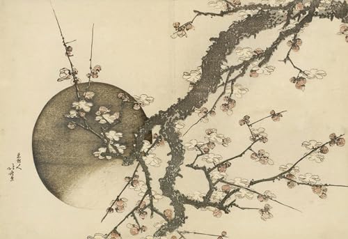 Affiche Mont Fuji Hokusai pour apporter l'harmonie de l'art japonais chez vous