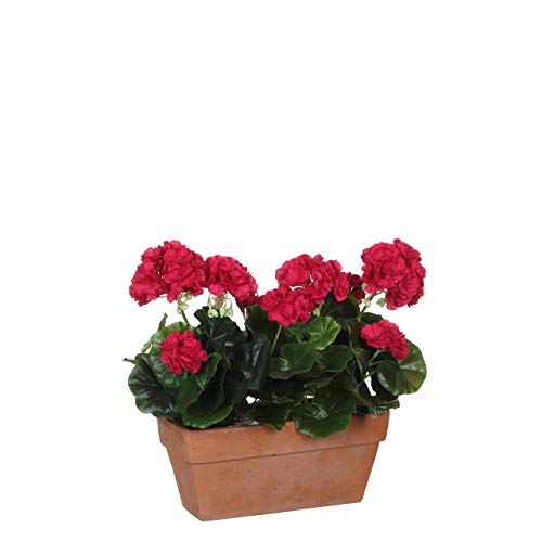 MICA Decorations Geranium d.Rosa - Jardinera para balcón (29 x 13 x 40 cm), Color Terracota Cover
