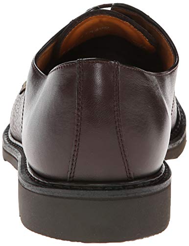 Mephisto Men's Melchior Captoe Oxford3