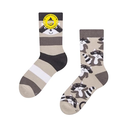 Dedoles Socken Kinder Mädchen Jungen Baumwolle viele lustige Designs Weihnachtssocken 1 Paar Farbe Grau Motiv Glücklicher Waschbär Wärmesocken Gr. 27-30