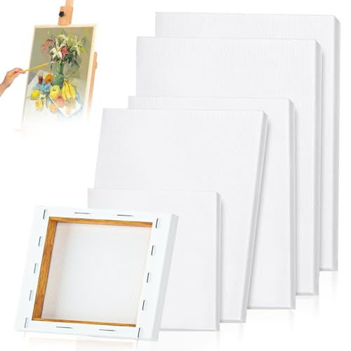 Juego de pintura en lienzo, 6 lienzos cuadrados para pintar, lienzos en blanco para arte, paneles de lienzo estirados de 3 tamaños para pintura acrílica, pintura al óleo (30 x 20 cm, 20 x 20 cm, 15 x