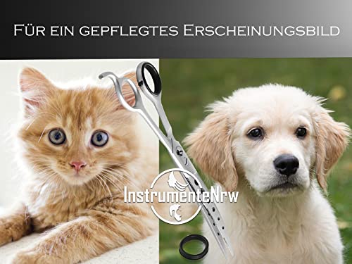 Hundescheren Set von InstrumenteNRW 4-teiliges Grooming-Set