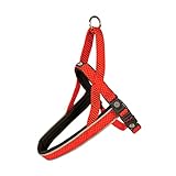 duvoplus, Bequemes und zeitgenössisches Geschirr, Serie EXPLOR East, Robustes und wasserdichtes Geschirr, 65 – 80 cm/25 mm, rot, wasserfest, langlebige Qualität, ideal für Spaziergänge