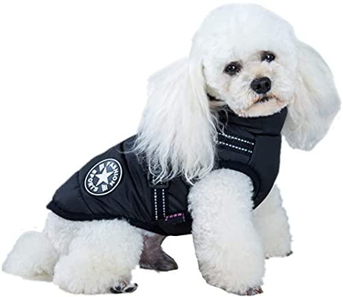 IGUGHI ӂӂ _ExXgWPbg m ~ {A  WPbg p[J[ Ȃ hbOEFA h h [hO ȕAE^[ o U ^ ^ (3XL, ubN)