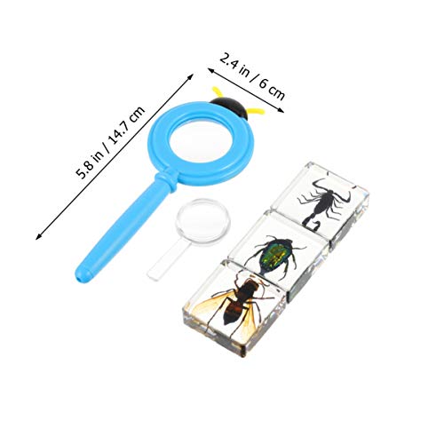 NUOBESTY Conjunto de EspÃ©cimes de Inseto de 4 PeÃ§as EspÃ©cime de Coleta de Forro de EscorpiÃ£o de