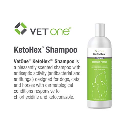 ketohex shampoo