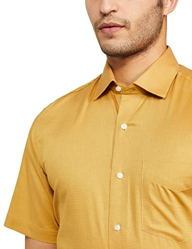 Image of Van Heusen Men's Regular Shirt (VHSH318M008211 Beige 44)