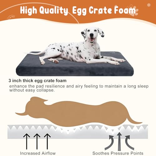 Image of EMPSIGN Memory Foam Stylish Dog Bed Mat Dog Crate Pad Mattress Reversible (Cool & Warm), Pet Crate Bed For Small To Xx-Large Dogs, Grey