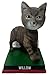 Willow Biden First Pets White House Base Bobblehead