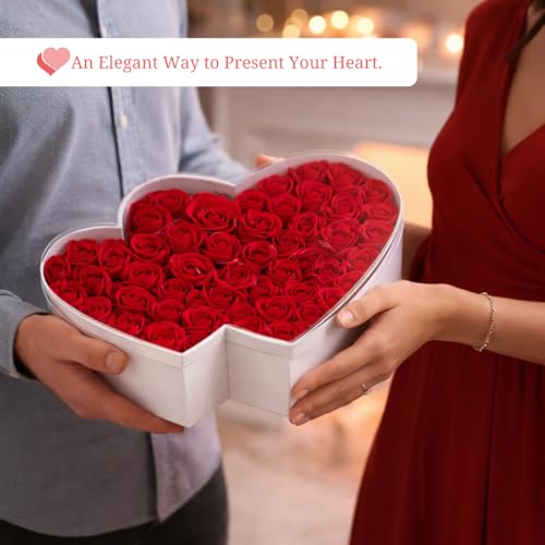 Image of Oasis Pack of 2 Double Heart Shaped Gift & Flower Hamper Boxes With Clear Lid | Classic Bouquet Box for Flower Arrangements & Gift Hampers | Decorative Gift Packaging Box - White Twin Lux Heart