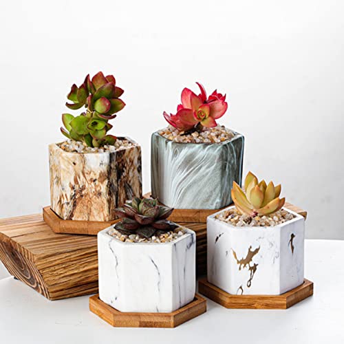Yardwe 8 Pcs Mini Cerâmica Suculenta Cactus de Porcelana Suculento de Flores Pequenas