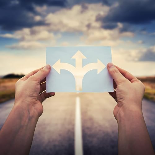 Page de couverture de Approaches to life: Improvise, pivot or plan
