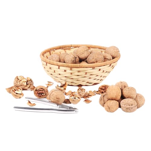 4 pz semi di noce, Coltivazione di semi, alberi da frutto colonnari Vasi per piante, decorazioni da giardino per esterno semi biologici, piante per luoghi soleggiati Piante da balcone,