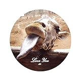 13cm x 9,1 cm para Fire Force Maki Witch Anime calcomanía impermeable Material de vinilo portátil