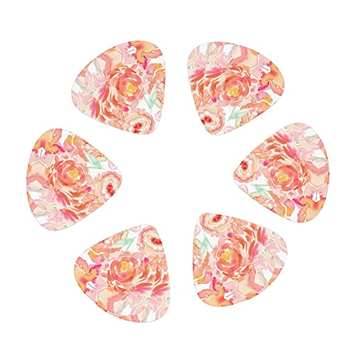 Pack de 12 médiators pour guitare pêche pivoine pour guitare électrique guitare acoustique diverses guitares - Les Beatles, Paul McCartney, John Lennon, RIngo Starr, George Harrison Pack de 12 médiators pour guitare pêche pivoine pour guitare électrique guitare acoustique diverses guitares