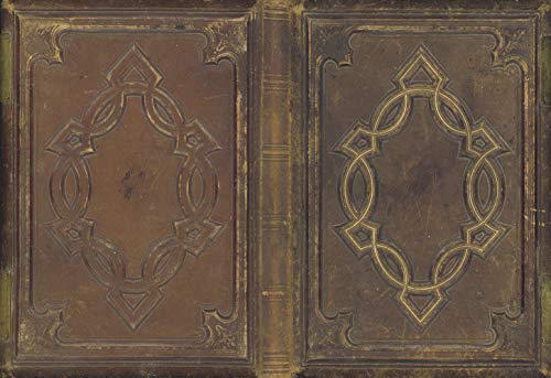 Télécharger HEX Appeal- A Little Book of Modern Southern Witchery (English Edition) Gratuit