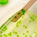 Science4you La Ciencia Viscosa - Slime - Juguete Educativo y Científico