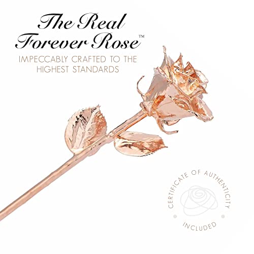 Image of Forever Rose Real Rose Dipped in Rose Gold, Acrylic Heart Vase